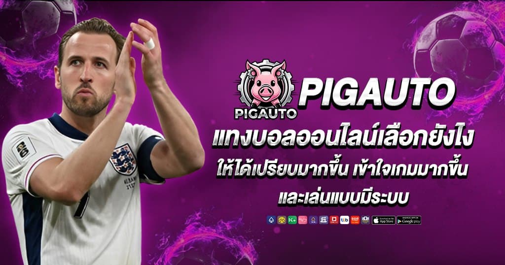 Pigauto บทความ 2